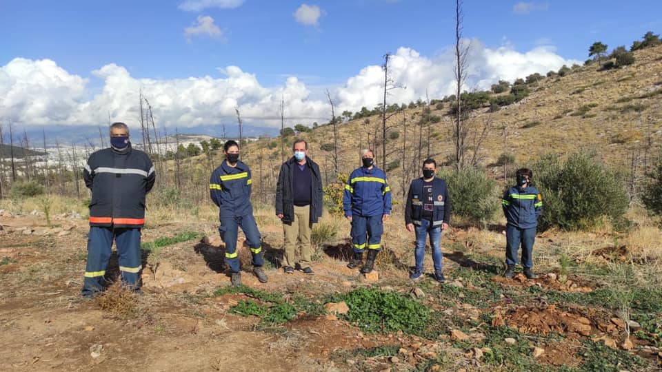 Φυτεύτηκαν 365 νέα δένδρα στο λόφο του Αράπη,  από το ΣΠΑΥ και τον Δήμο Βύρωνα