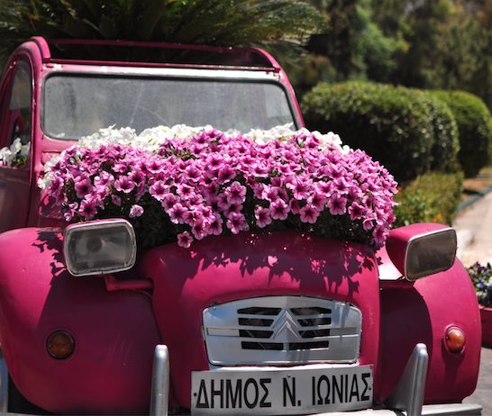 Γέμισε με χρώματα και άνθη από τη Νέα Ιωνία το Instagram