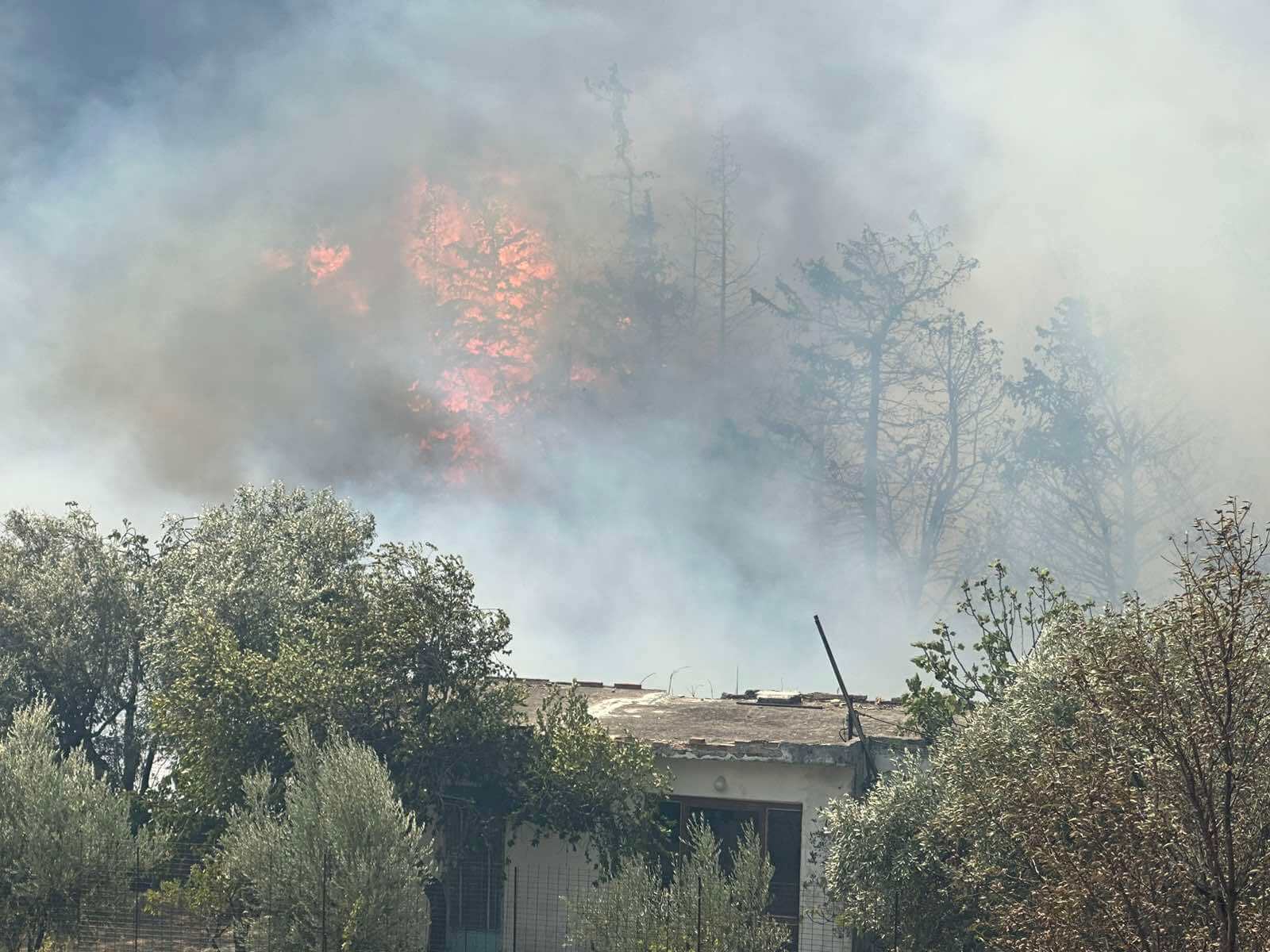 Δήμος Ελευσίνας : Εως 6 Σεπτεμβρίου οι δηλώσεις ζημιάς λόγω της πυρκαγιάς