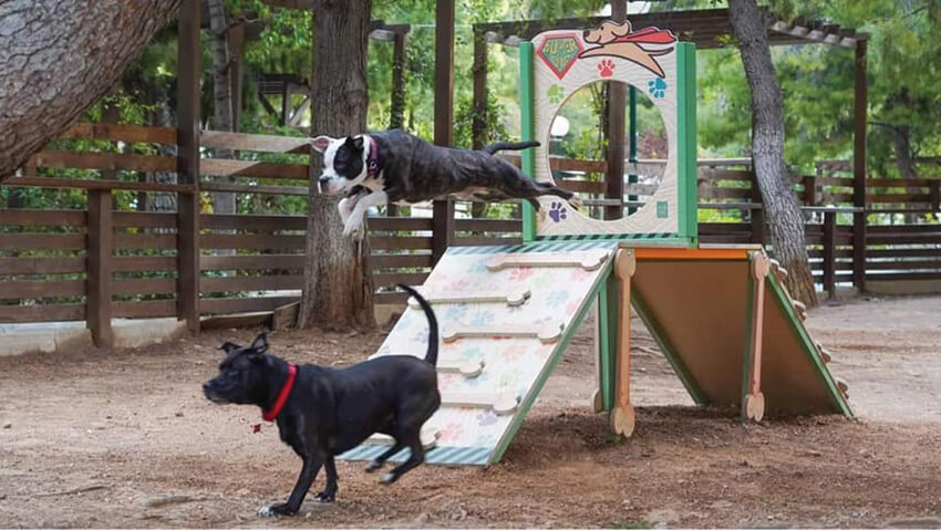 Το πρώτο Πάρκο Κοινωνικοποίησης και Άθλησης Σκύλων αποκτά ο Δήμος Ελευσίνας